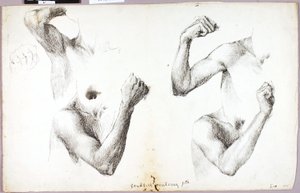 Four Arm Studies, #1