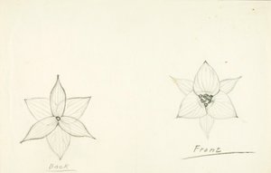 Framework of the Flower by Solon H. Borglum