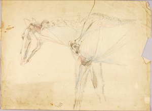 Horse Study by Solon H. Borglum
