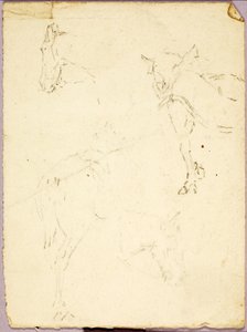 Horses by Solon H. Borglum