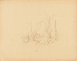 Landscape by Solon H. Borglum