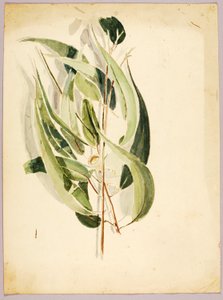 Plant Study by Solon H. Borglum