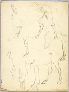 Portrait Study, Horse Study by Solon H. Borglum