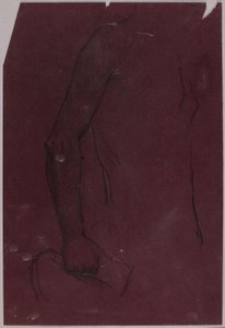 Torso, study for Equestrian Monument