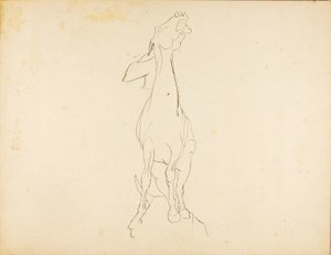 Untitled by Solon H. Borglum