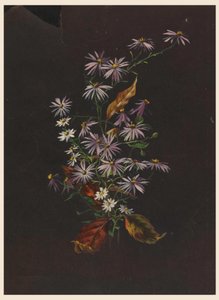 Autumn Bouquet, ca. 1890 by Sophia L. Crownfield