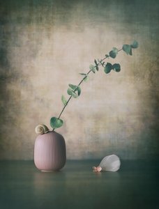 Eucalyptus Snail Pink Vase