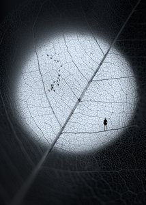 Man on Moon Leaf