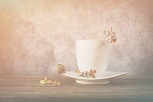 Quiet Snail Teacup by Sophie Pan