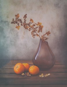 Warm Tangerines Still Life by Sophie Pan