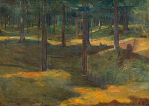 Frognerseter Forest