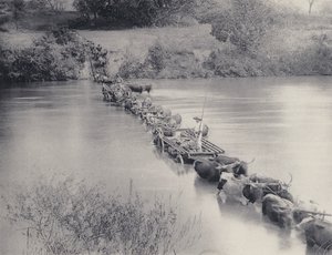 How Rivers are crossed in the Transvaal