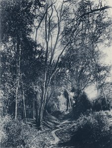 Scene in Lydenburg District by South African Photographer
