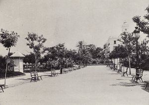 Cadiz: Alameda de Apodaca