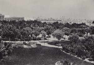 Cadiz: Genoves Park by Spanish Photographer