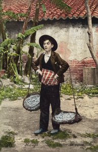 Fish Seller, Malaga, Spain by Spanish Photographer