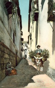 Granada, La Calle Del Horno Del Vidrio, Spain by Spanish Photographer