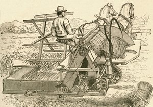 A harvesting machine, pulled by horses, which tied the sheaves of corn mechanically, used in the late 19th century. From El Museo Popular published Madrid by Spanish School