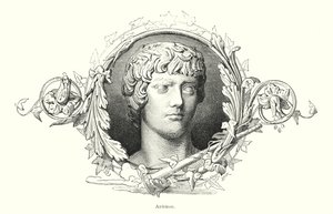 Antinous, Bithynian Greek youth and favourite of the Roman Emperor Hadrian by Spanish School