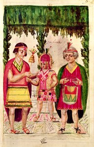 Illustration of Cincheroca, from 
