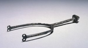 Pricked Spur