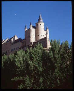 View of the alcazar