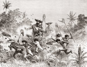 Édouard François André Catching Butterflies in Villavicencio by Spanish School