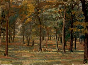 Richmond Park by Spencer Gore