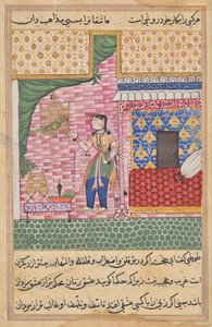 The Parrot Addresses Khujasta at the Beginning of the Seventeenth Night, from a Tuti-nama (Tales of a Parrot) by Sravana