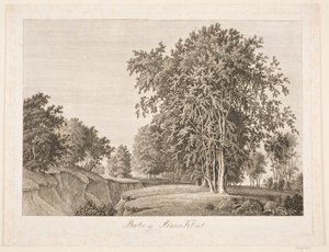 Part of Møns Klint by Søren Henrik Petersen