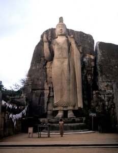 The great Buddha of Avukana. Sri Lanka. 5th century by Sri Lankan School