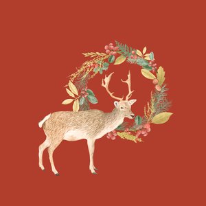 Holiday Deer