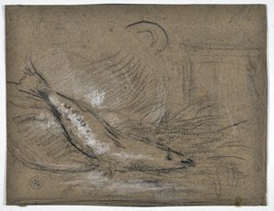Fish Study