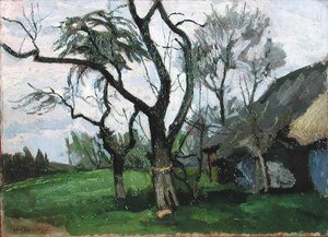 Landscape of Wola Radziszowska