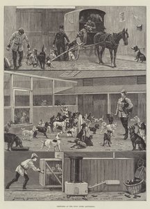 Sketches at the Dogs