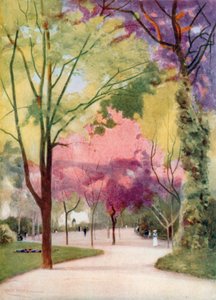 The Estrella Gardens