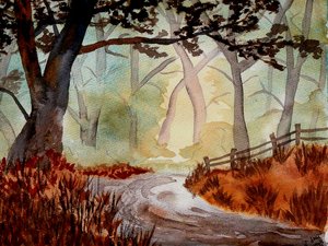 The Enchanted Forest