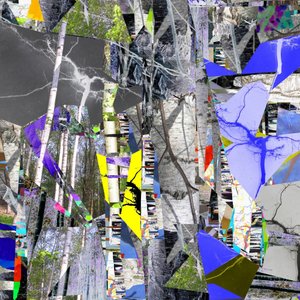 Fragmented Birch Forest by Stefan Fransson