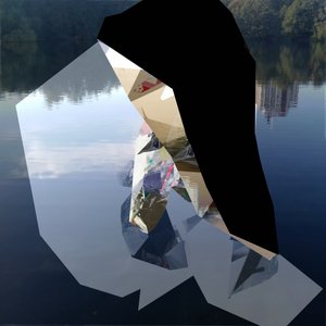 Fragmented Lake Reflections