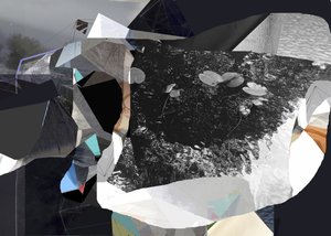 Fragmented Water Lilies