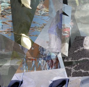 Fragmented Water Swans