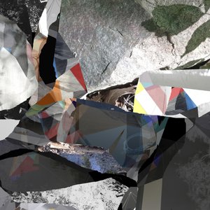Geometric Nature Collage
