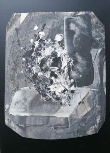 Abstract Skull Still Life