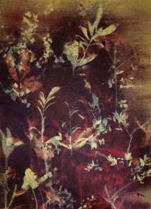 Dark Botanical Silhouettes