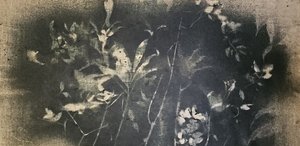 Dark Botanical Study