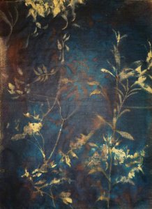 Deep Blue Botanicals