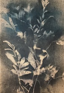 Ethereal Blue Botanicals