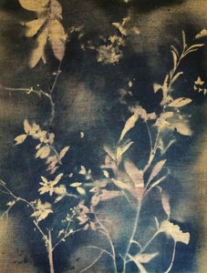 Glowing Indigo Foliage