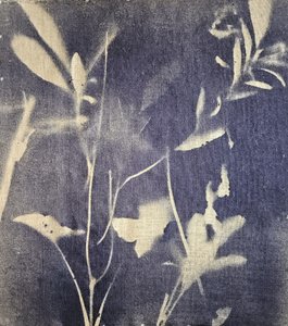 Vintage Botanical Blues