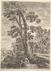 A Fisherman Leaning Against a Large Tree by Stefano della Bella